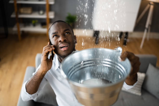 Best Flood damage cleanup  in Kingsbury, NV