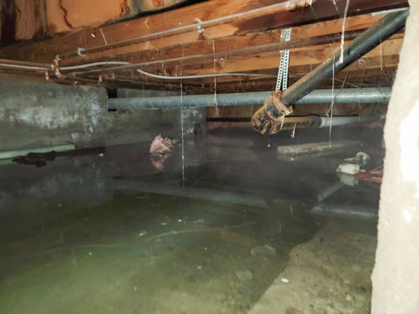 Best Emergency water damage restoration  in Kingsbury, NV