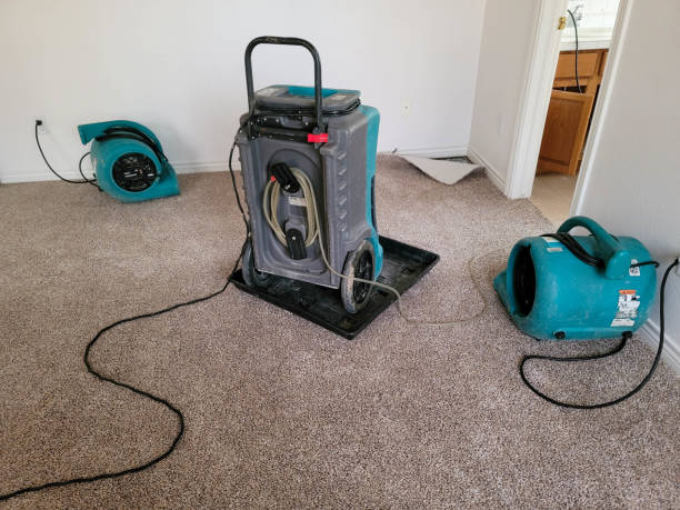 Best Local water damage restoration  in Kingsbury, NV
