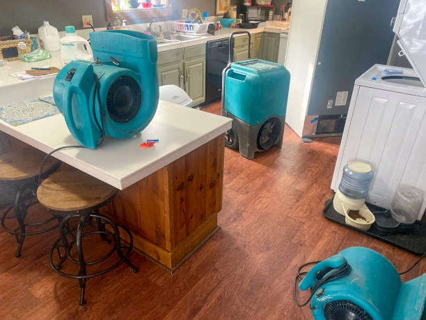 Best 24/7 water damage repair  in Kingsbury, NV