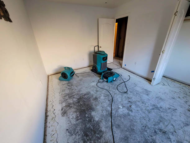 Best Mold removal after water damage  in Kingsbury, NV