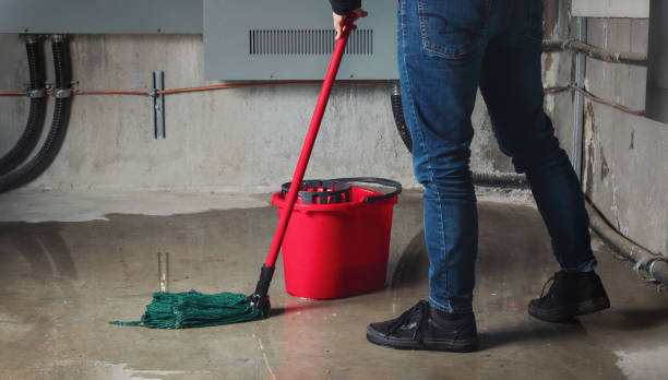 Best Water damage restoration experts  in Kingsbury, NV
