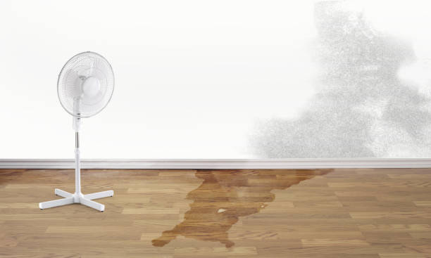 Best Flooded house restoration  in Kingsbury, NV