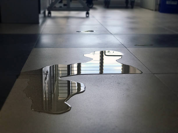 Water damage restoration process in Kingsbury, NV