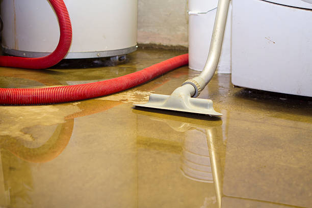 Best Water damage cleanup near me  in Kingsbury, NV