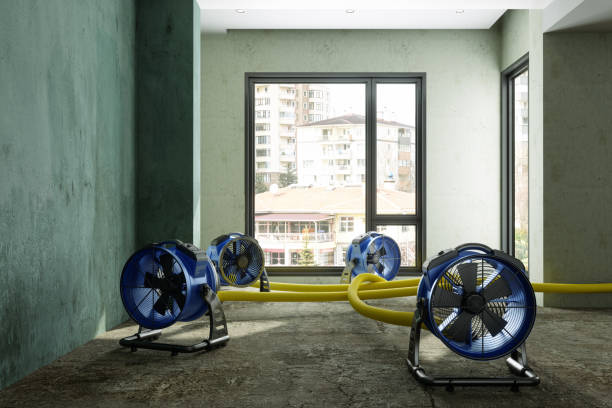 Professional Water damage restoration in Kingsbury, NV