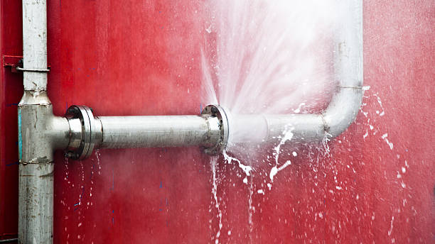 Best Sewage cleanup and water damage restoration  in Kingsbury, NV