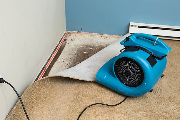 Best Water damage restoration cost  in Kingsbury, NV