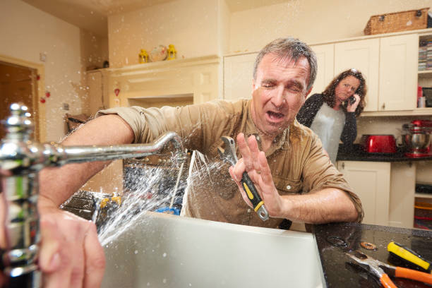 Best Water damage cleanup near me  in Kingsbury, NV